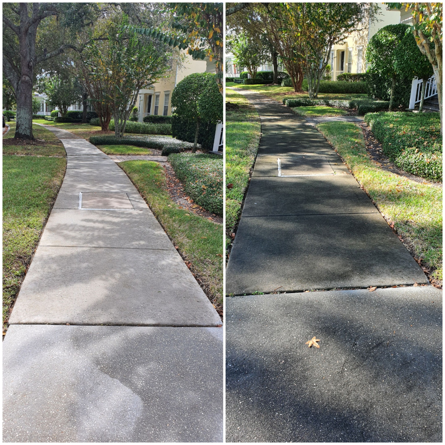 Concrete sidewalk before and after cleaning.