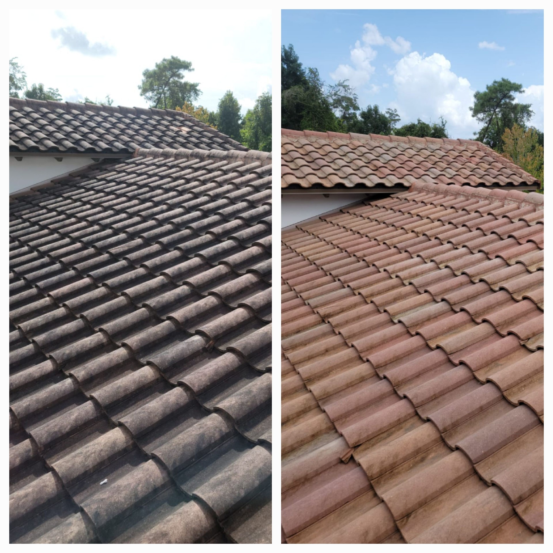 Tile roof before and after soft washing.